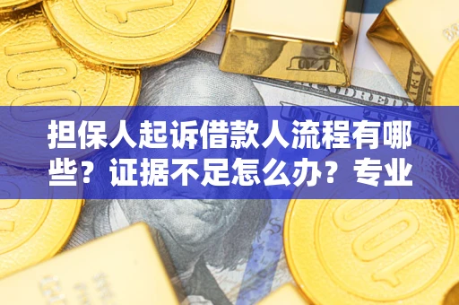 济南担保人起诉借款人流程有哪些？证据不足怎么办？专业律师解答