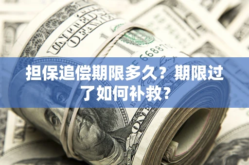 济南担保追偿期限多久？期限过了如何补救？